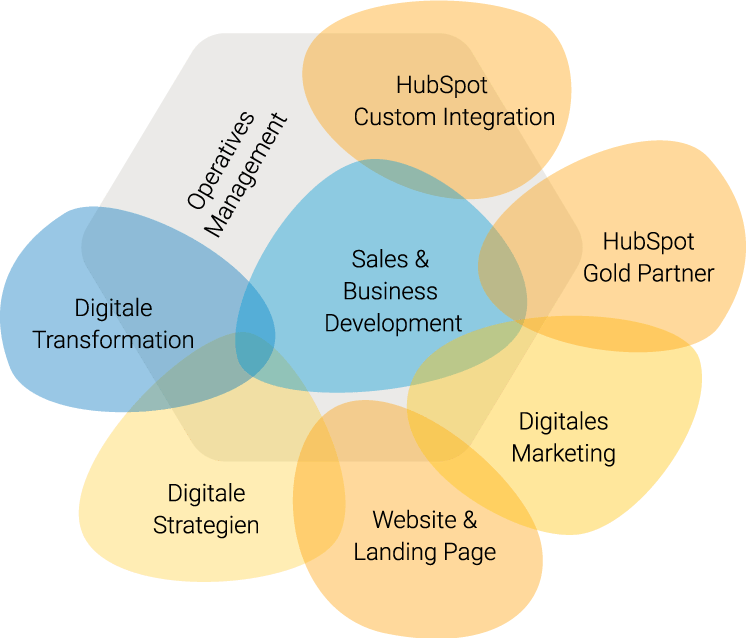 Growth Ninjas Schwerpunkte