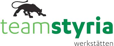 Team Styria Logo