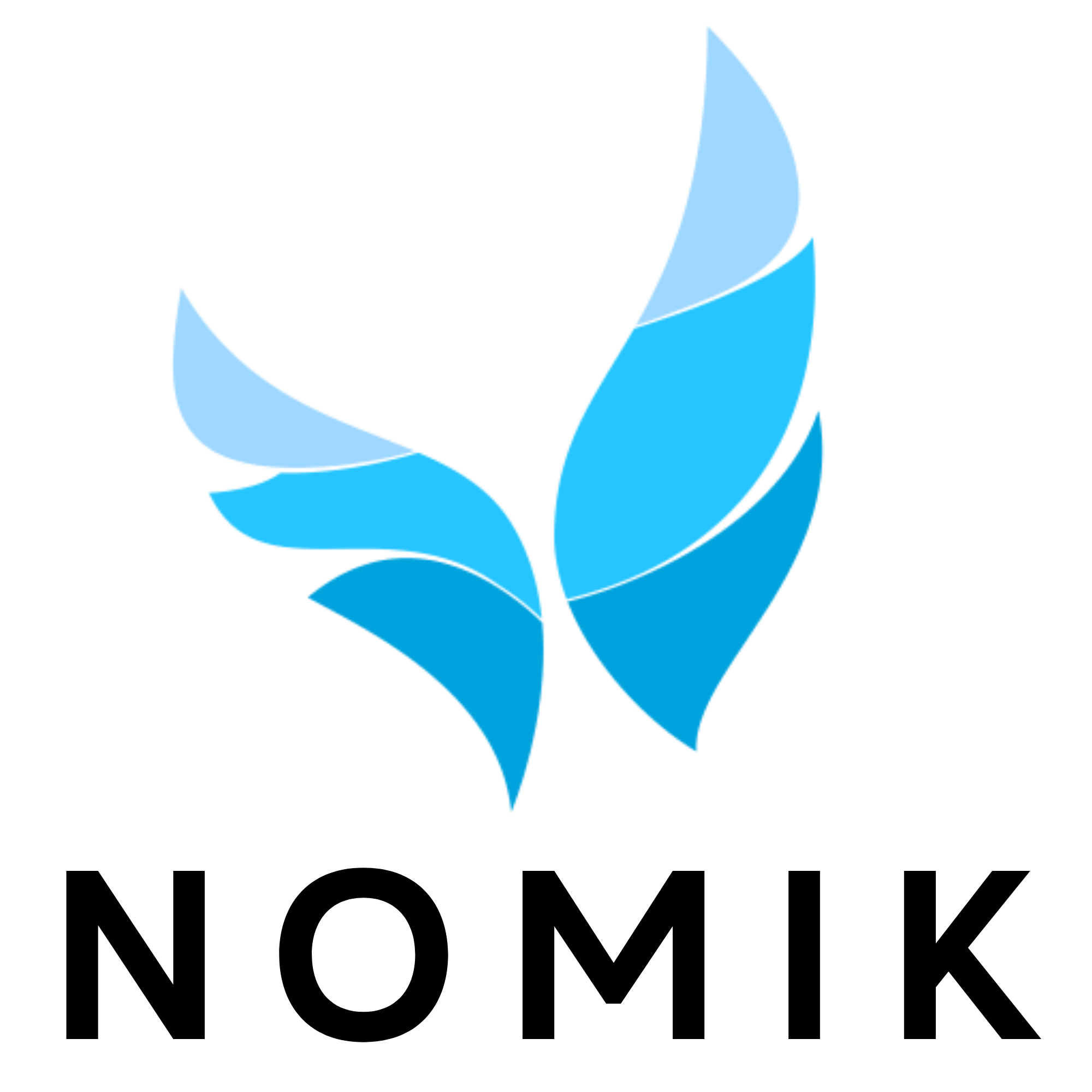 Nomik Logo
